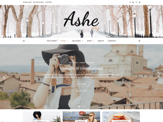 Ashe-wordpress-themes